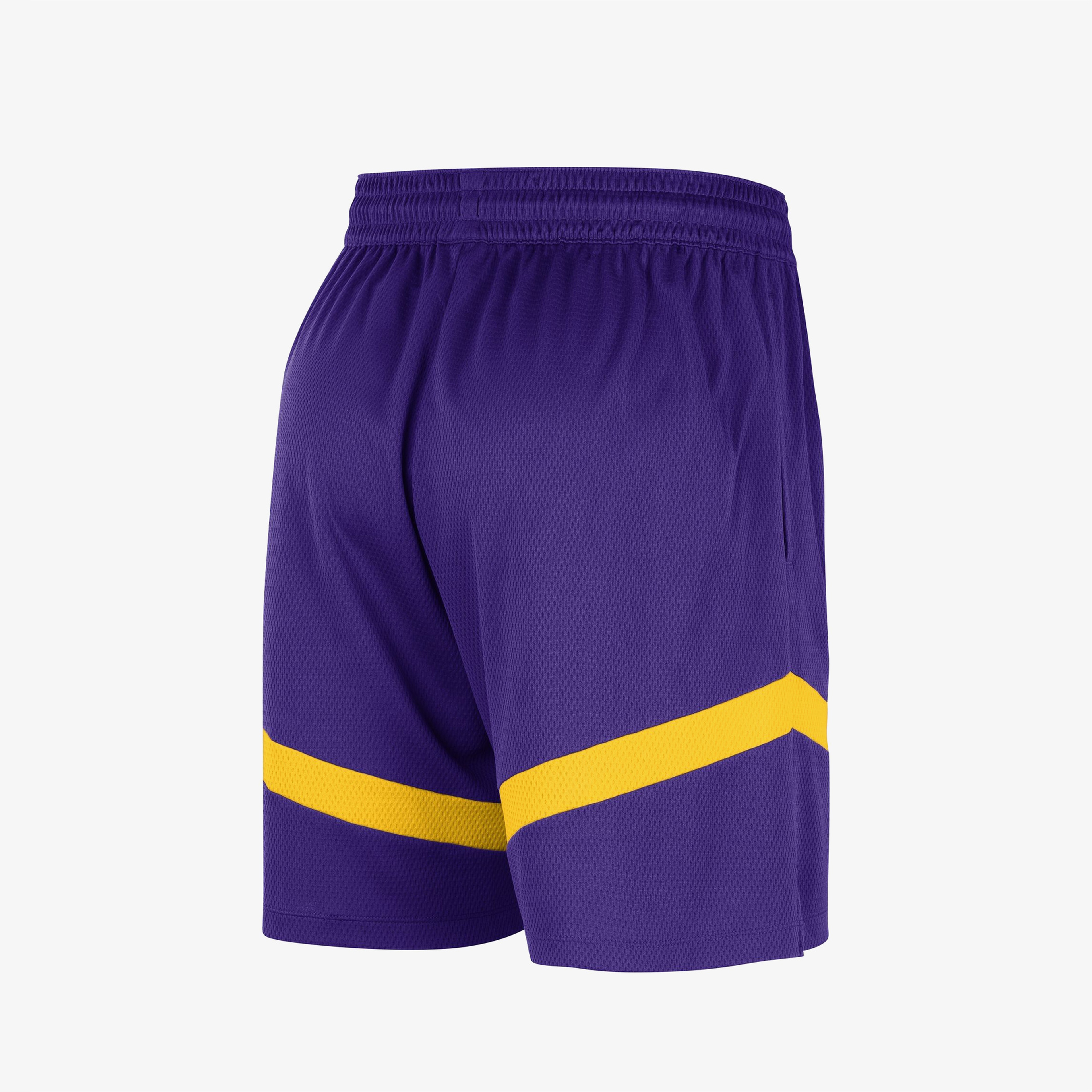 Nike Los Angeles Lakers Icon Practice Erkek Mor Şort