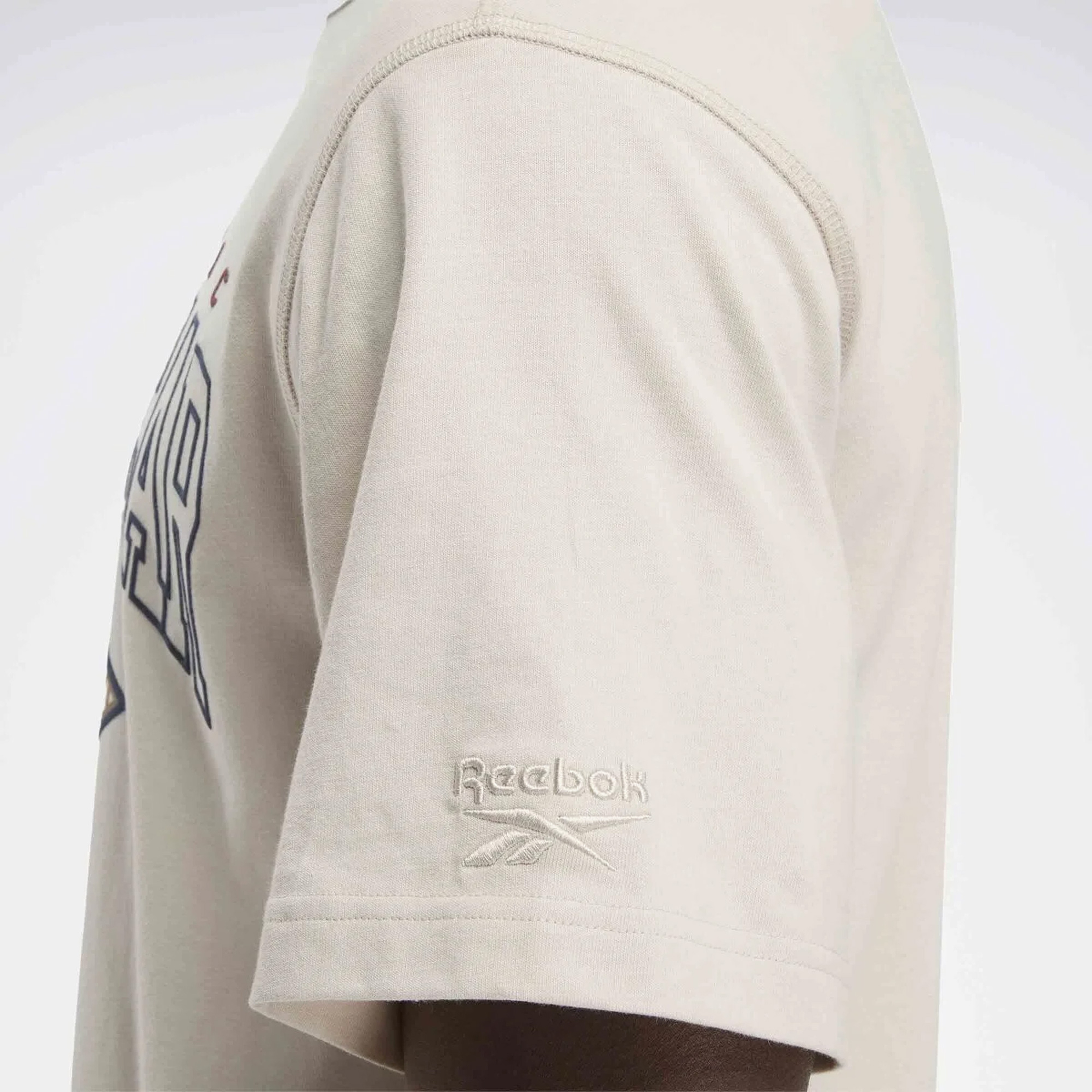 Reebok Classics Sporting Erkek Bej T-Shirt