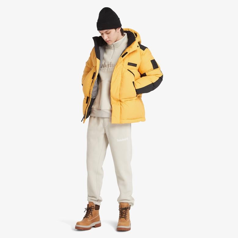Timberland Durable Waterrepellent Erkek Sarı Mont
