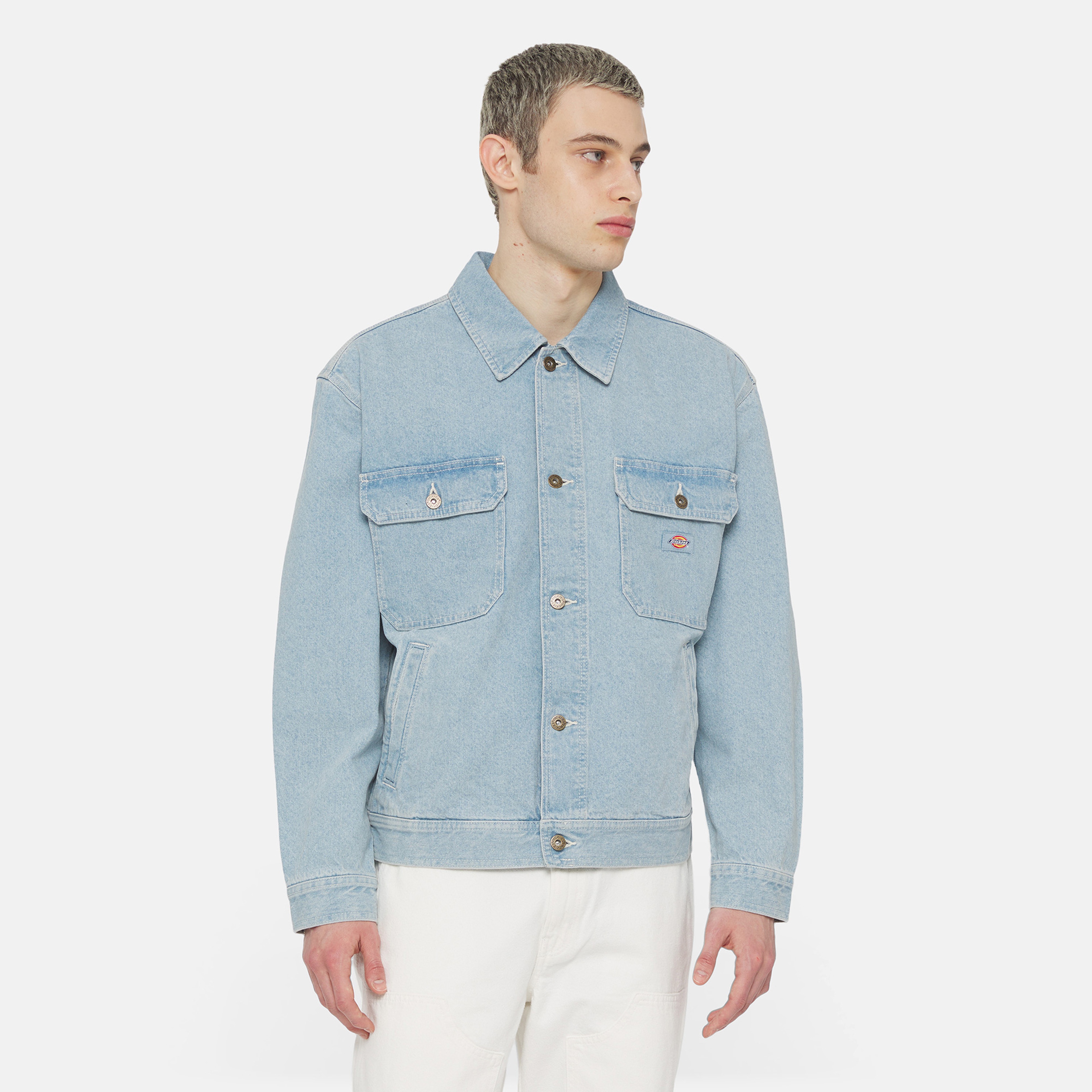 Dickies Madison Erkek Mavi Ceket