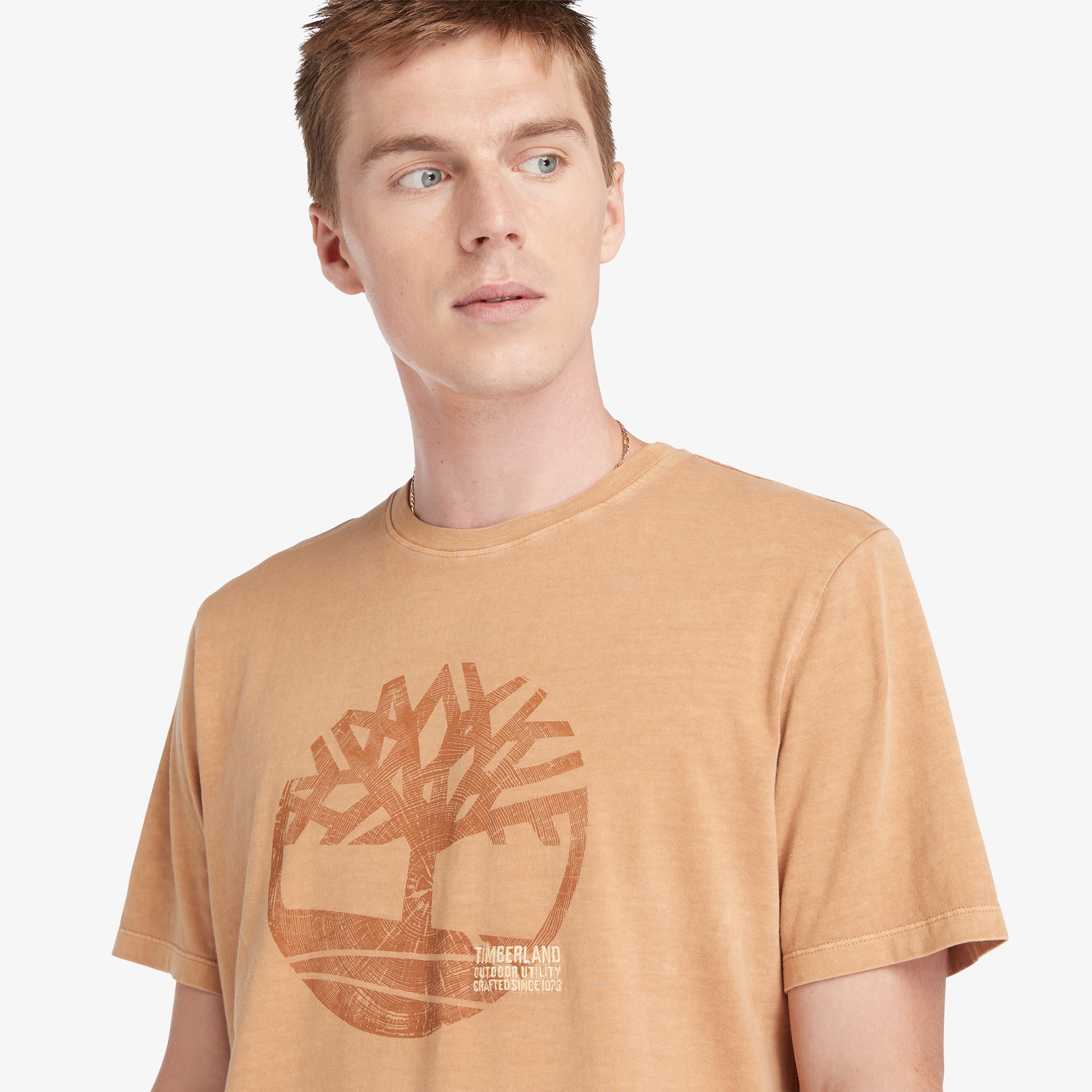 Timberland Garment Graphic Erkek Sarı T-Shirt