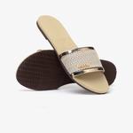 Havaianas You Trancoso Premium Kadın Altın Terlik