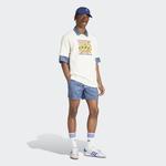 adidas Originals Fash Sprin Sh Erkek Mavi Şort