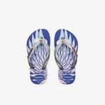 Havaianas Slim Glitter Çocuk Mavi Terlik