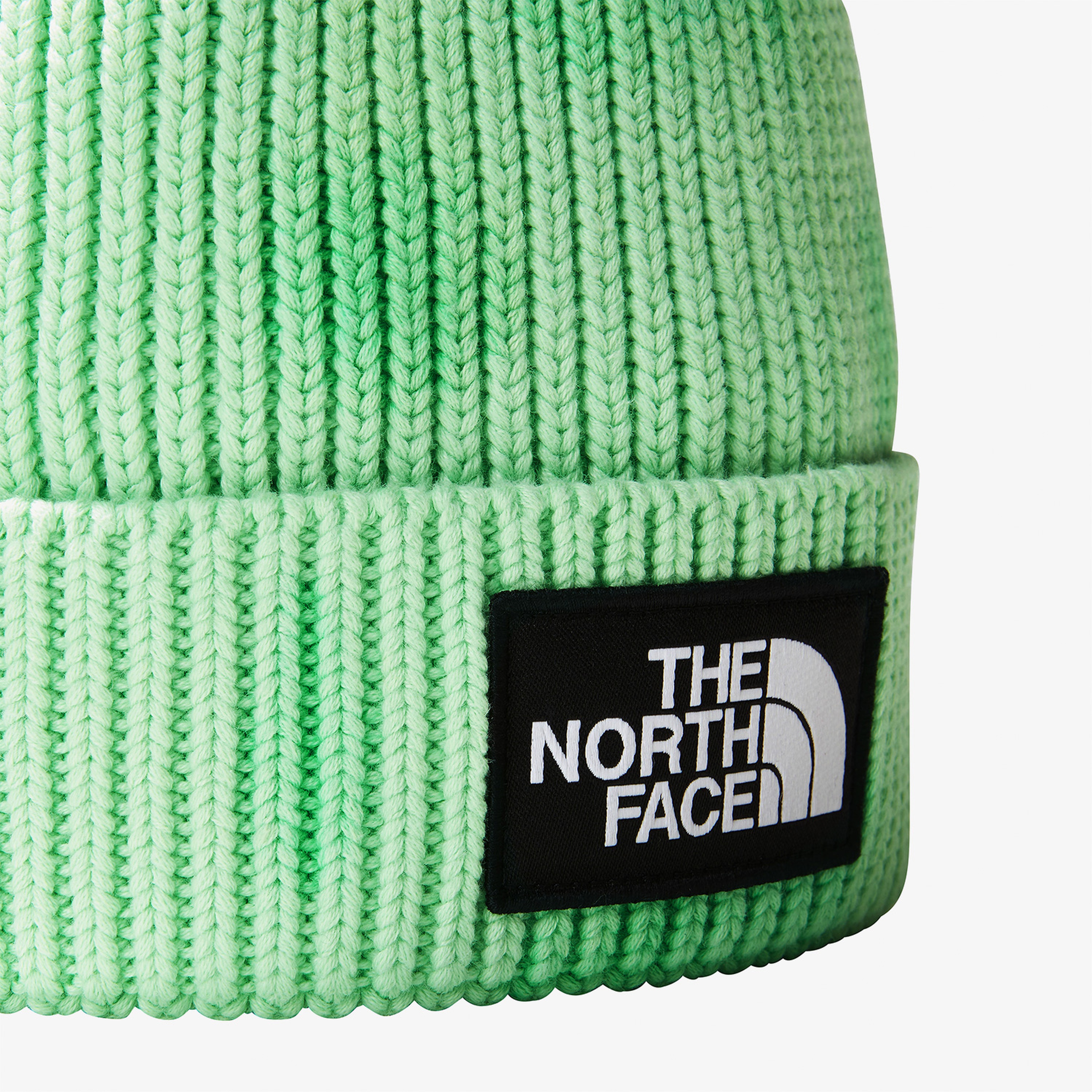The North Face Tie Dye Logo Box Unisex Yeşil Bere