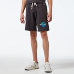 Champion Long Erkek Gri Şort