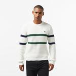 Erkek Relaxed Fit Bisiklet Yaka Çizgili Beyaz Kazak