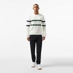 Erkek Relaxed Fit Bisiklet Yaka Çizgili Beyaz Kazak