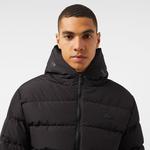 Erkek Regular Fit Kapüşonlu Siyah Şişme Mont