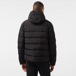 Erkek Regular Fit Kapüşonlu Siyah Şişme Mont