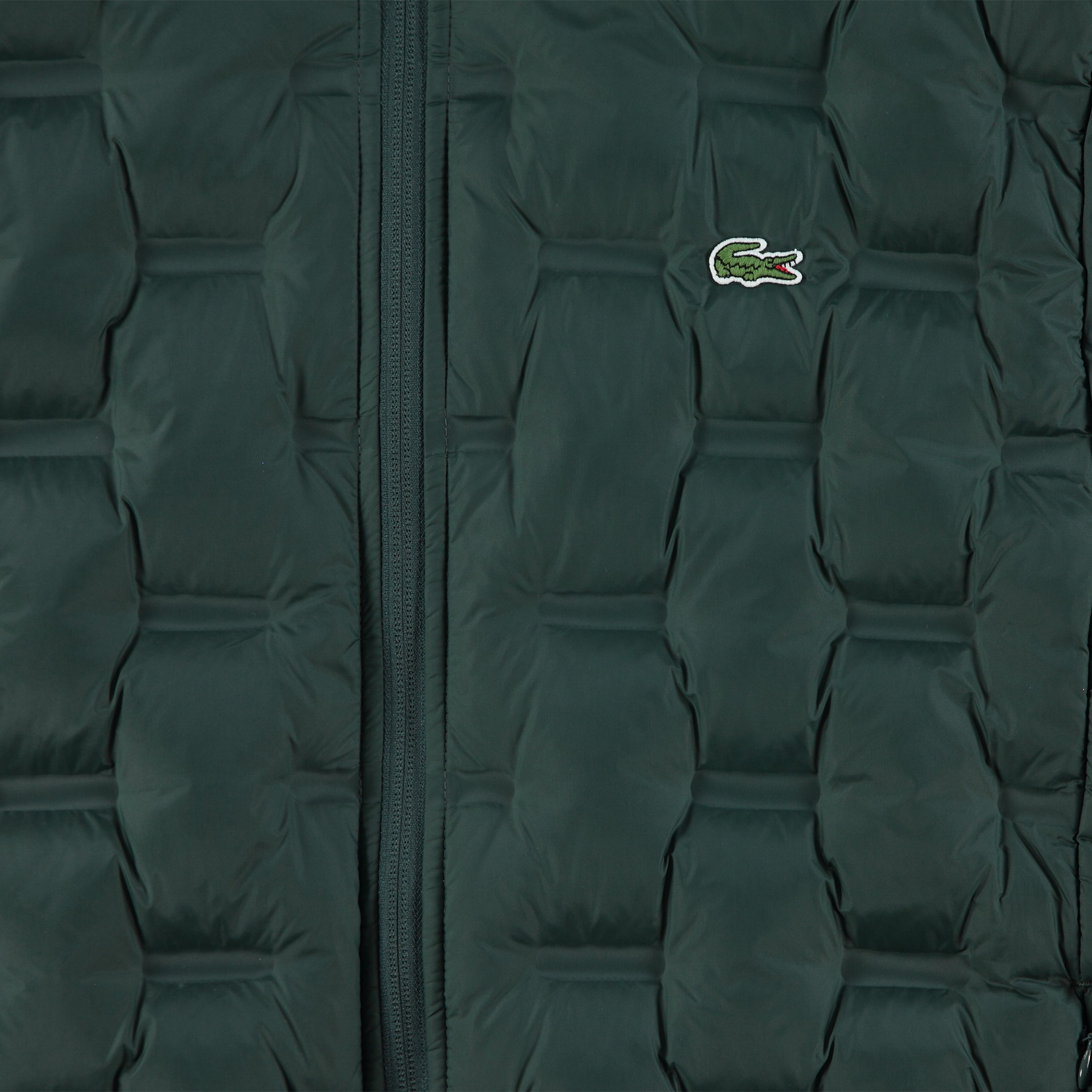 Erkek Regular Fit Kapüşonlu Kapitone Koyu Yeşil Mont