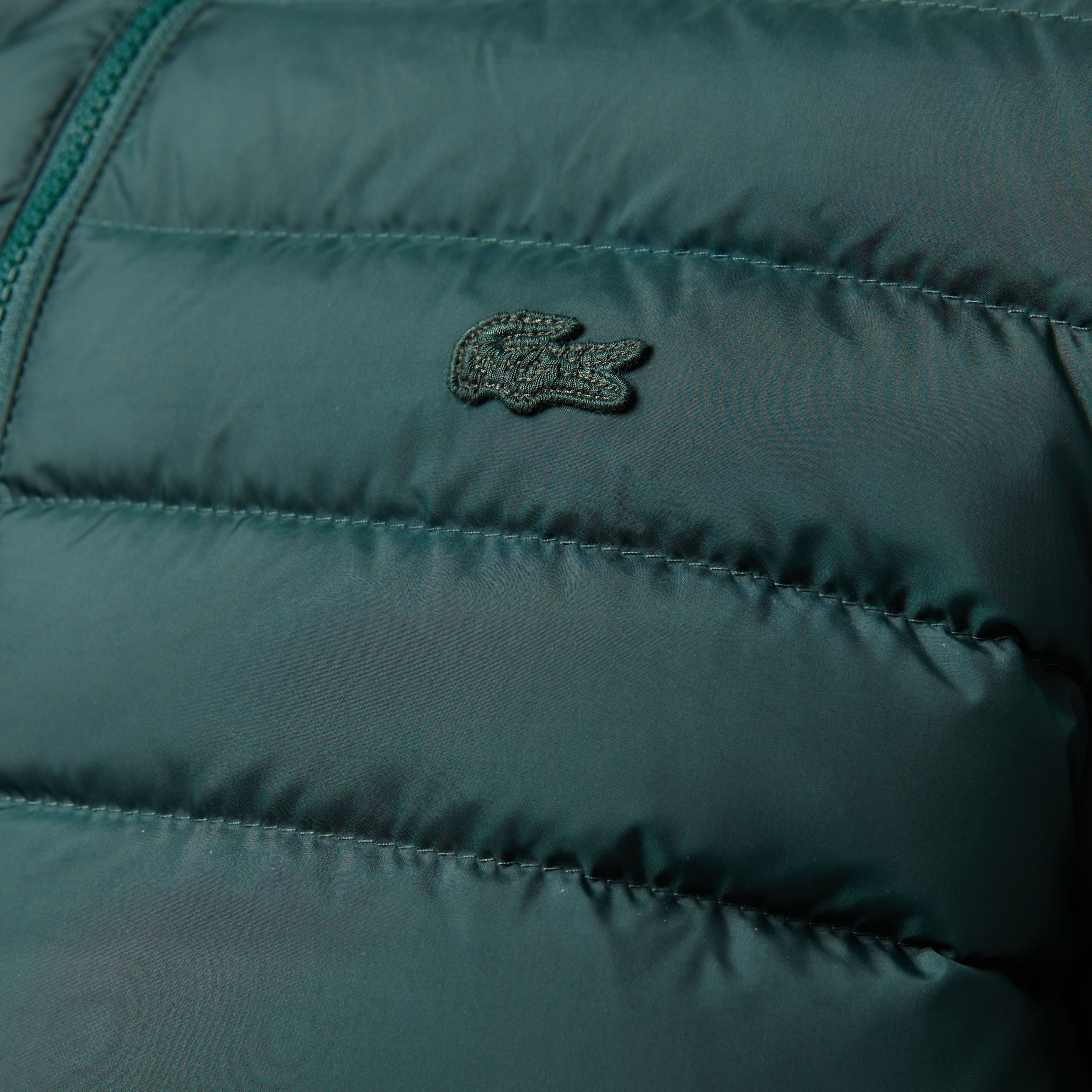 Erkek Kapüşonlu Koyu Yeşil Mont