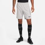 Nike Erkek Gri Şort