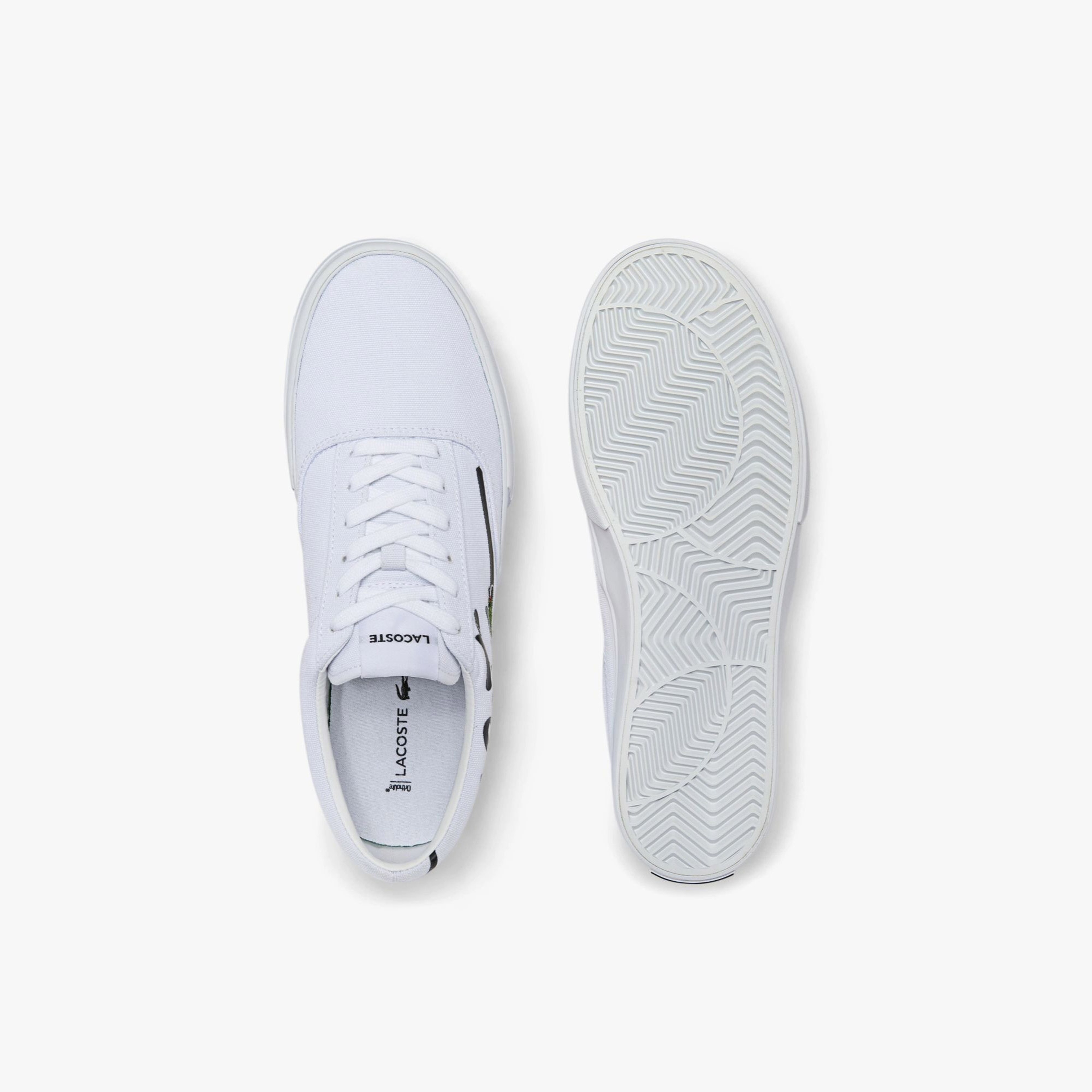 Lacoste Men's Sneakers