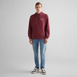 GANT Erkek Bordo Regular Fit Kapüşonlu Logolu Sweatshirt