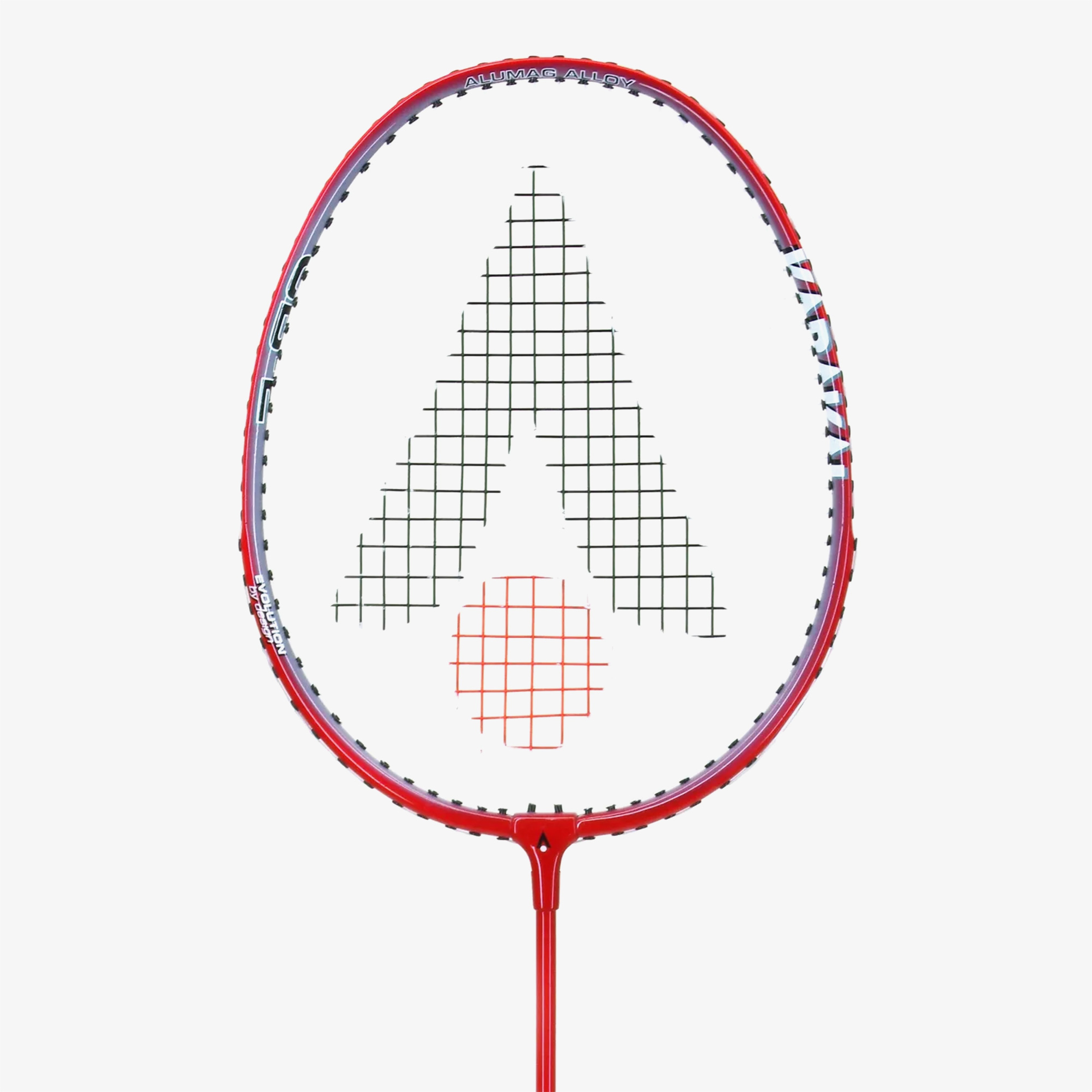 Tecnifibre Unisex Renkli Raket
