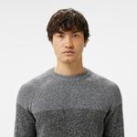 Erkek Relaxed Fit Bisiklet Yaka Renk Bloklu Gri Kazak