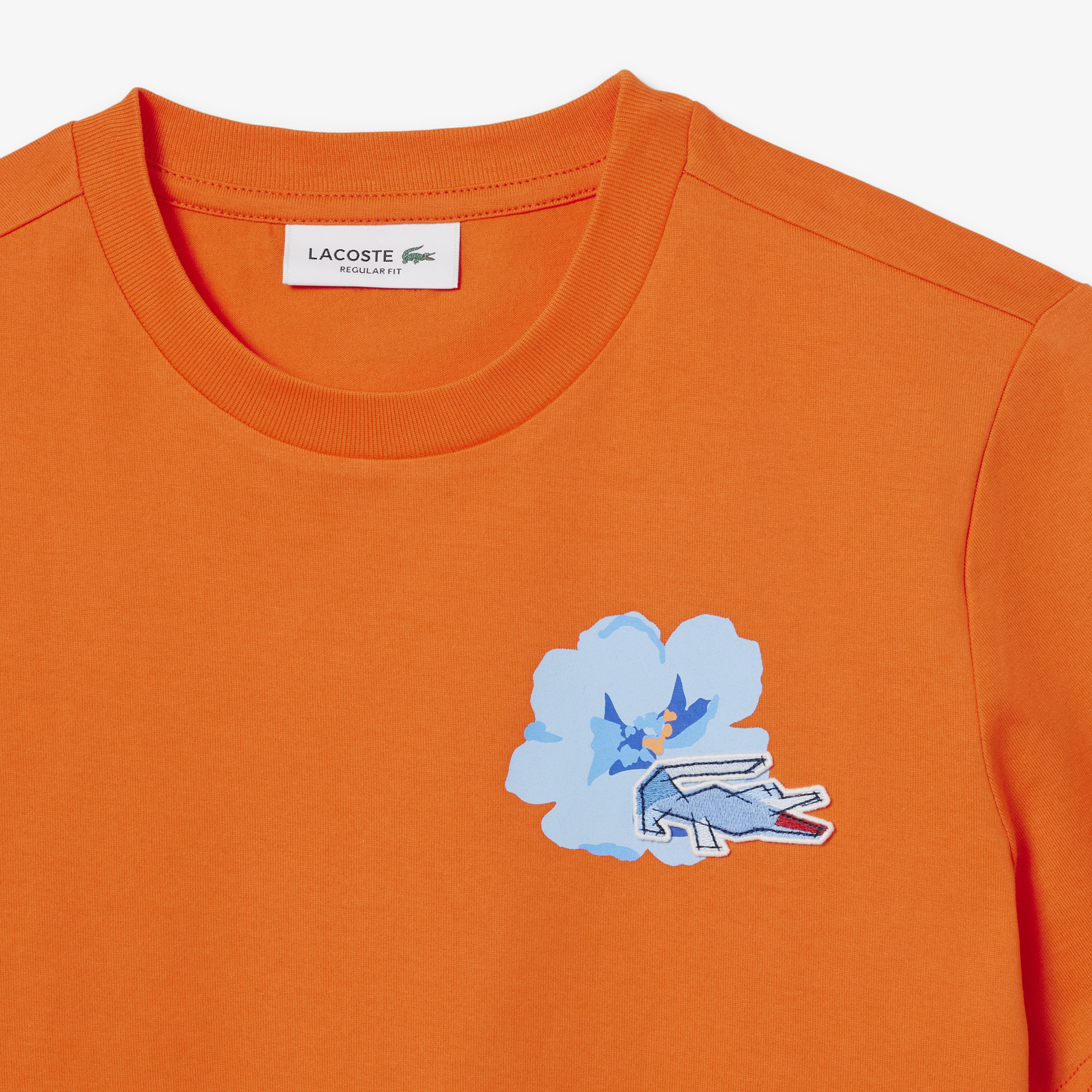 Kadın Regular Fit Bisiklet Yaka Turuncu T-Shirt