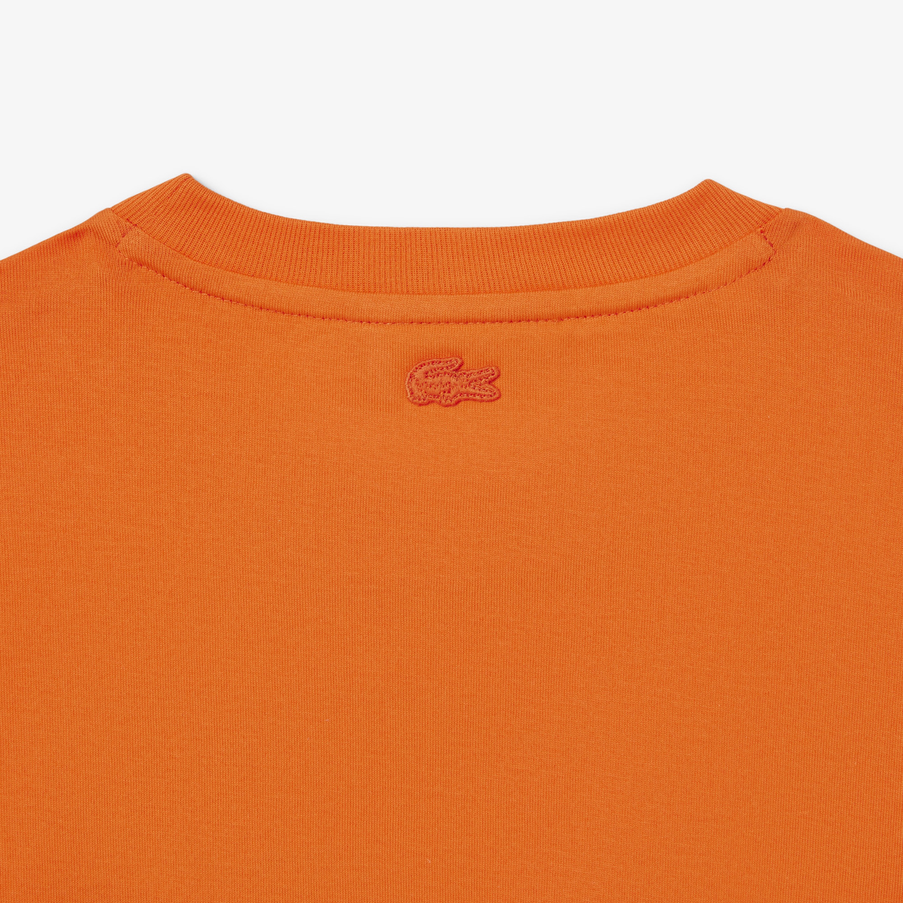 Kadın Regular Fit Bisiklet Yaka Turuncu T-Shirt