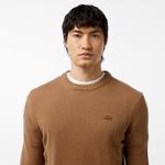 Erkek Regular Fit Bisiklet Yaka Kahverengi Triko