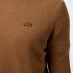 Erkek Regular Fit Bisiklet Yaka Kahverengi Triko