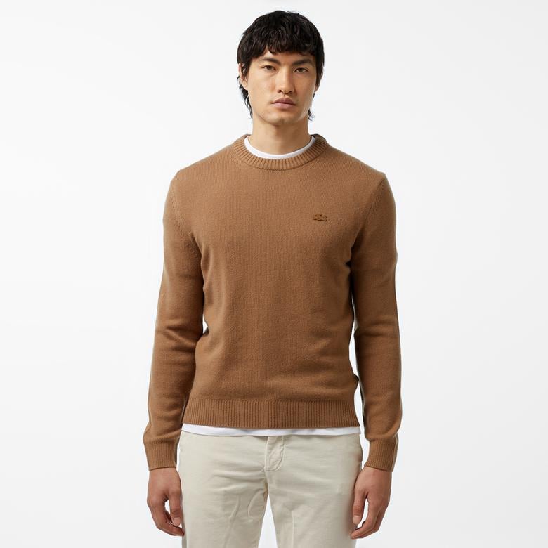 Erkek Regular Fit Bisiklet Yaka Kahverengi Triko