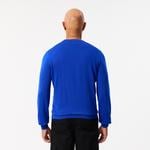 Erkek Regular Fit Bisiklet Yaka Yün Mavi Triko