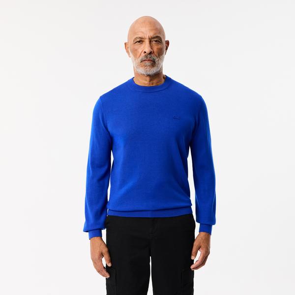 Erkek Regular Fit Bisiklet Yaka Yün Mavi Triko