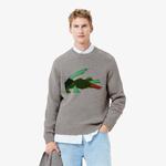 Erkek Classic Fit Bisiklet Yaka Yün Gri Kazak