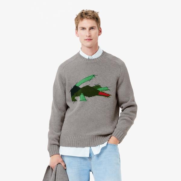 Erkek Classic Fit Bisiklet Yaka Yün Gri Kazak