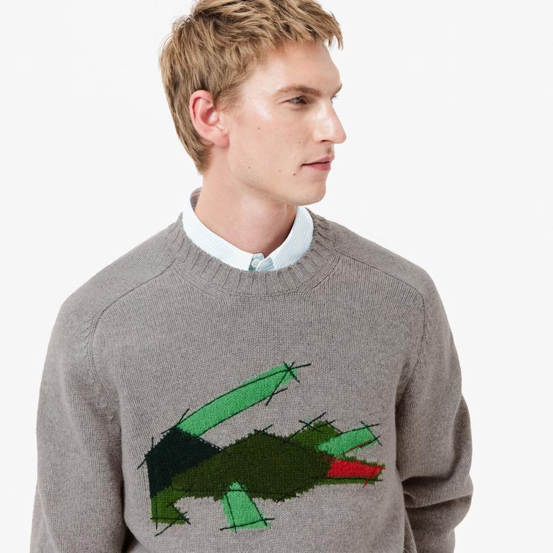 Erkek Classic Fit Bisiklet Yaka Yün Gri Kazak