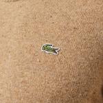 Erkek Regular Fit Bisiklet Yaka Kahverengi Triko