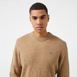 Erkek Regular Fit Bisiklet Yaka Kahverengi Triko