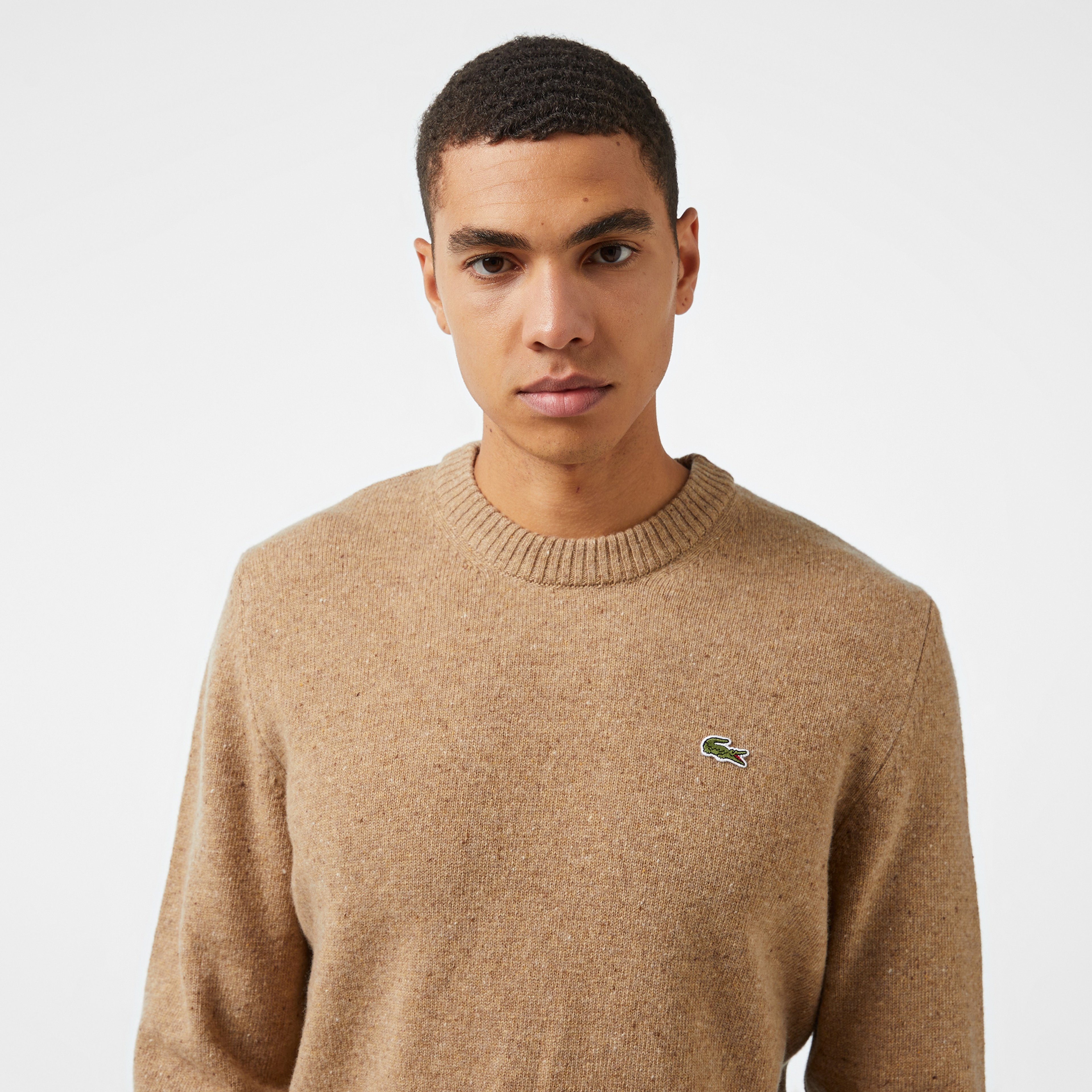 Erkek Regular Fit Bisiklet Yaka Kahverengi Triko