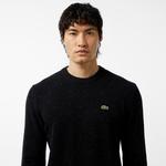 Erkek Regular Fit Bisiklet Yaka Siyah Triko