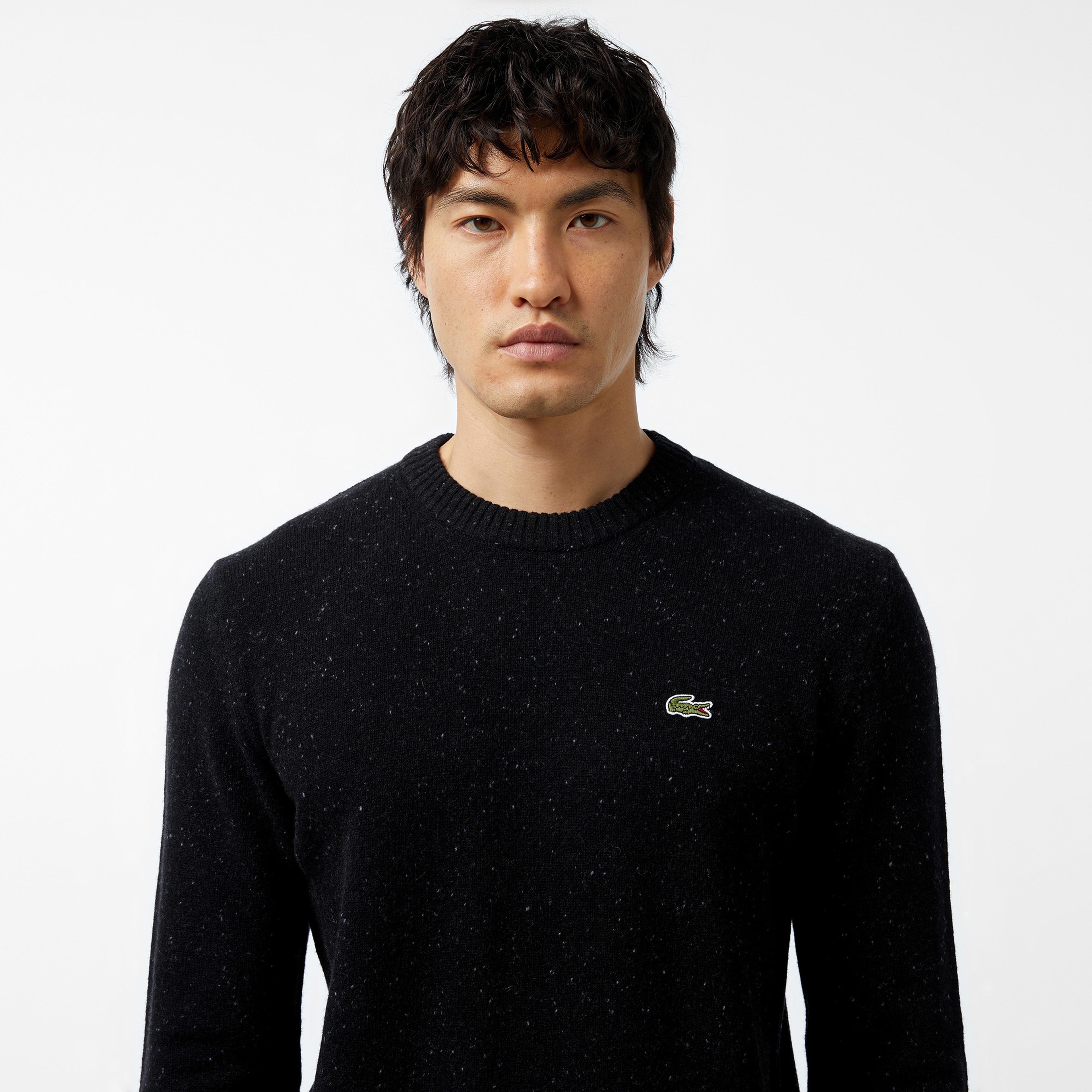 Erkek Regular Fit Bisiklet Yaka Siyah Triko