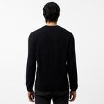 Erkek Regular Fit Bisiklet Yaka Siyah Triko