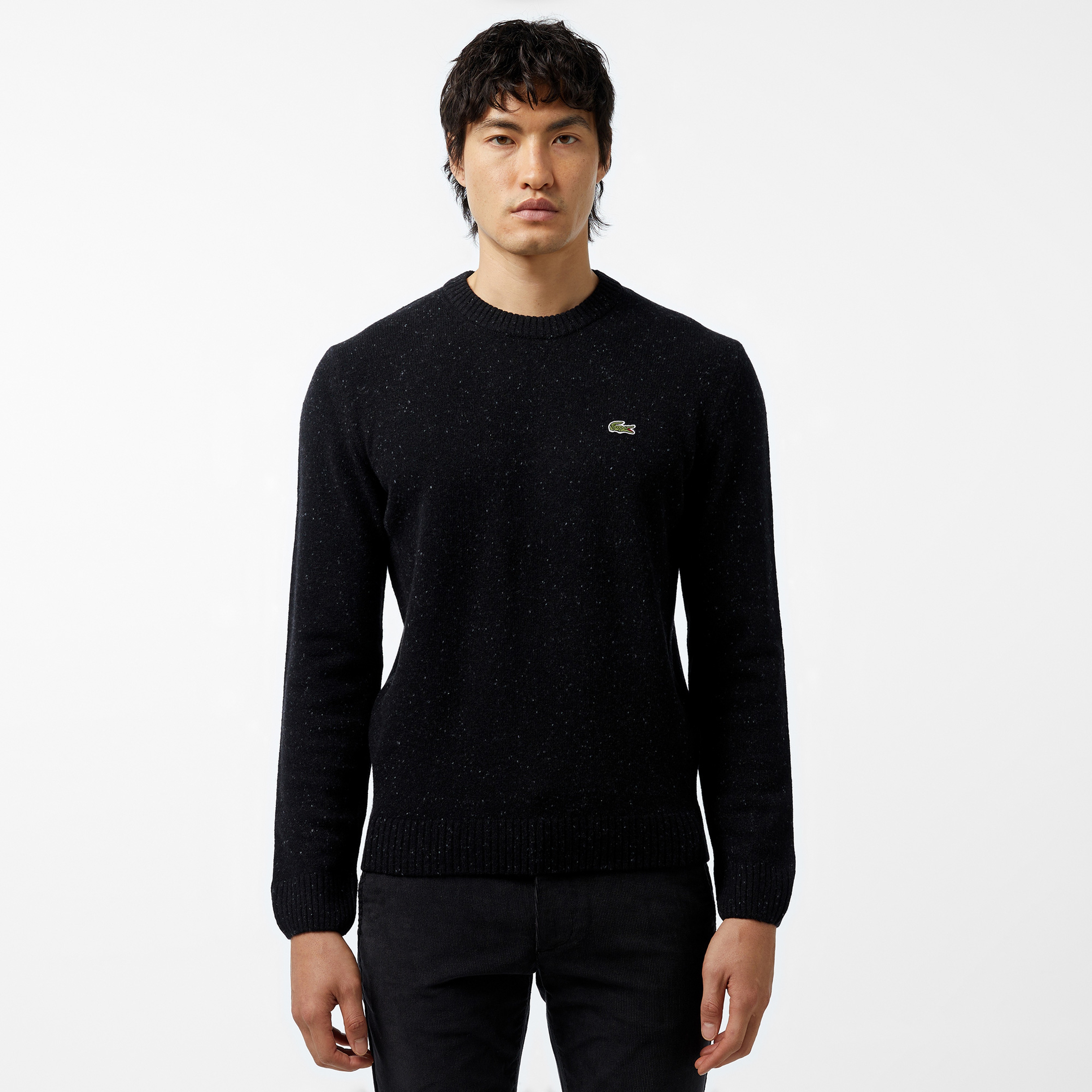 Erkek Regular Fit Bisiklet Yaka Siyah Triko