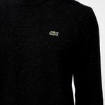 Erkek Regular Fit Bisiklet Yaka Siyah Triko