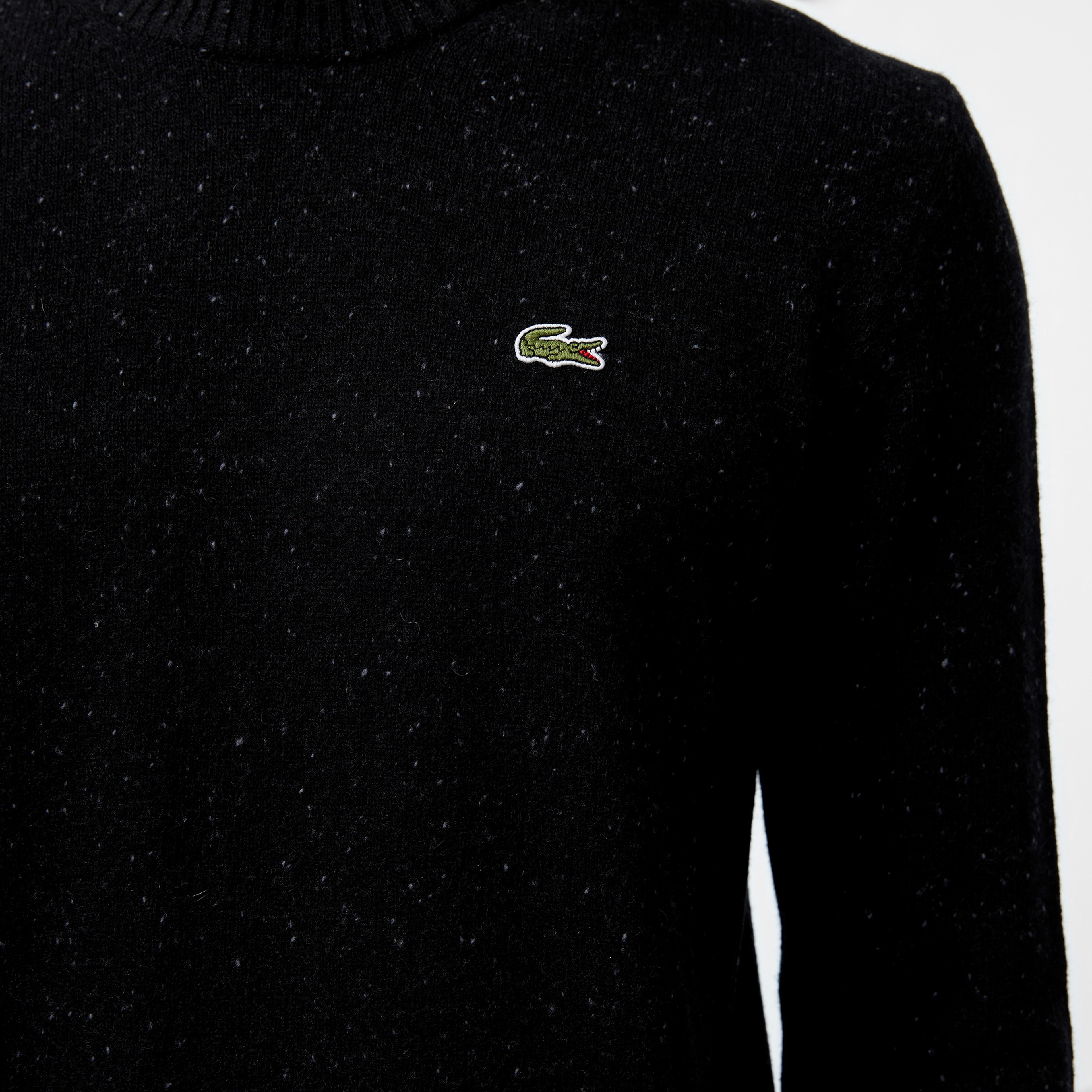 Erkek Regular Fit Bisiklet Yaka Siyah Triko