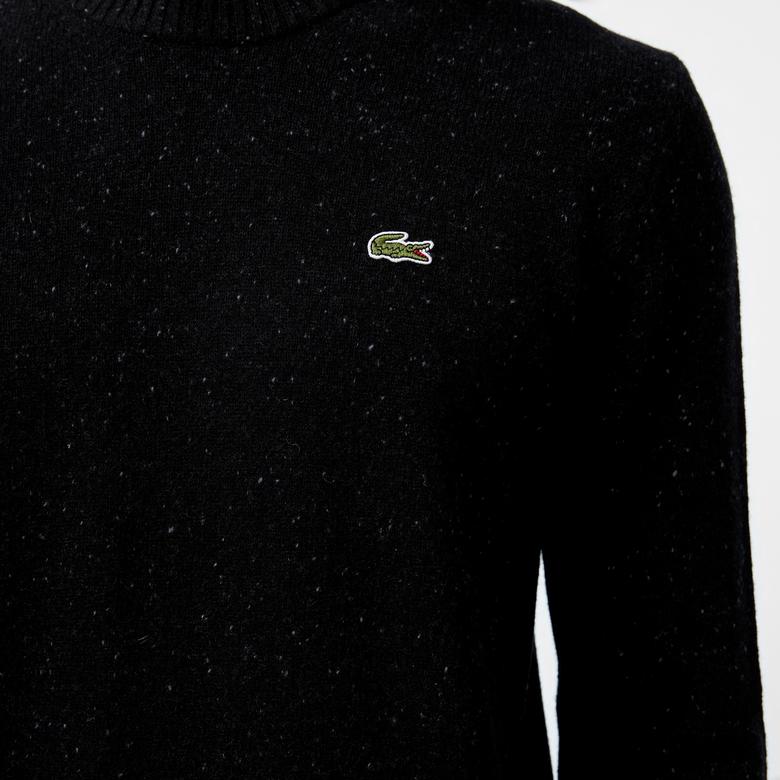 Erkek Regular Fit Bisiklet Yaka Siyah Triko