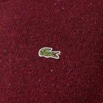 Erkek Regular Fit Bisiklet Yaka Bordo Triko