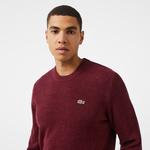 Erkek Regular Fit Bisiklet Yaka Bordo Triko