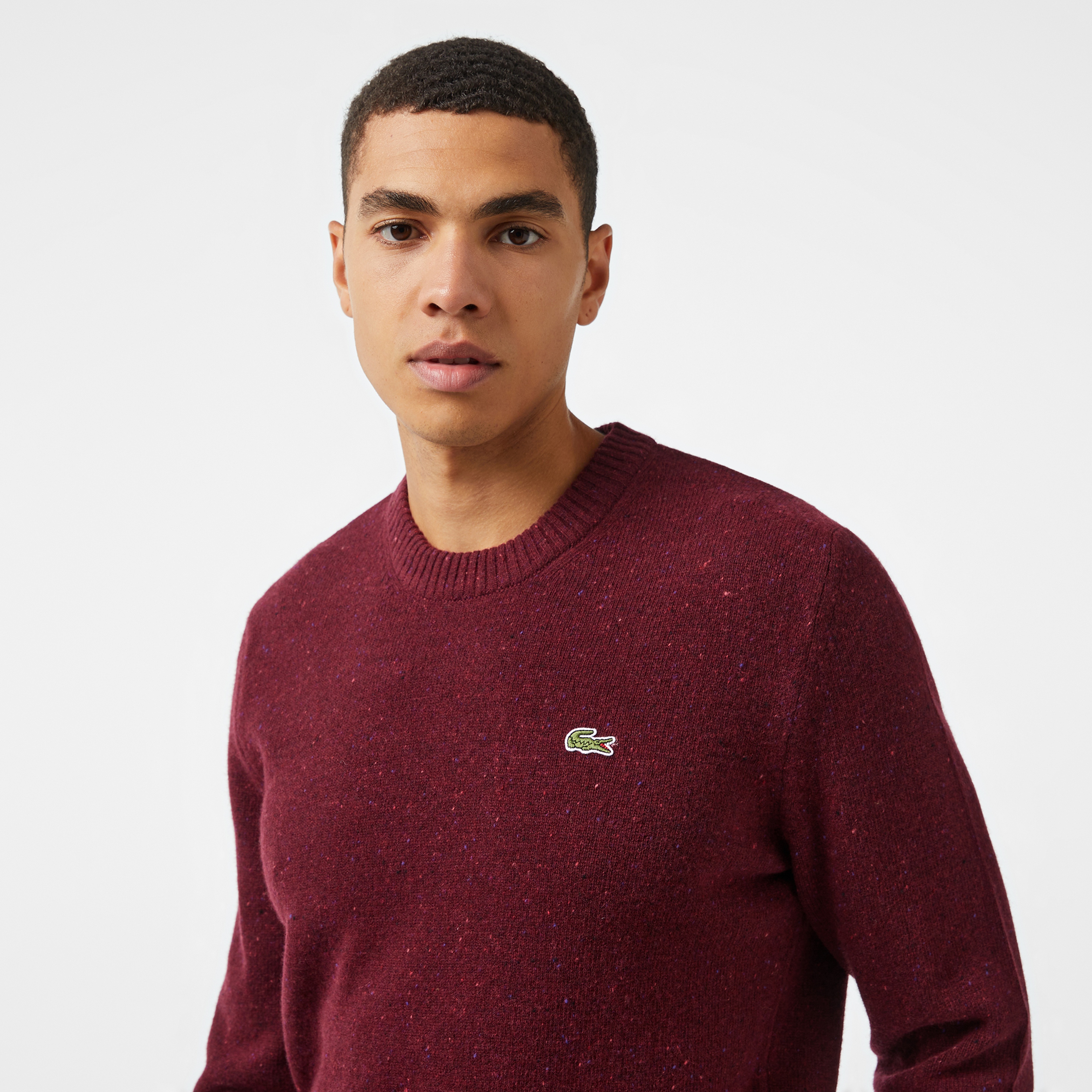 Erkek Regular Fit Bisiklet Yaka Bordo Triko