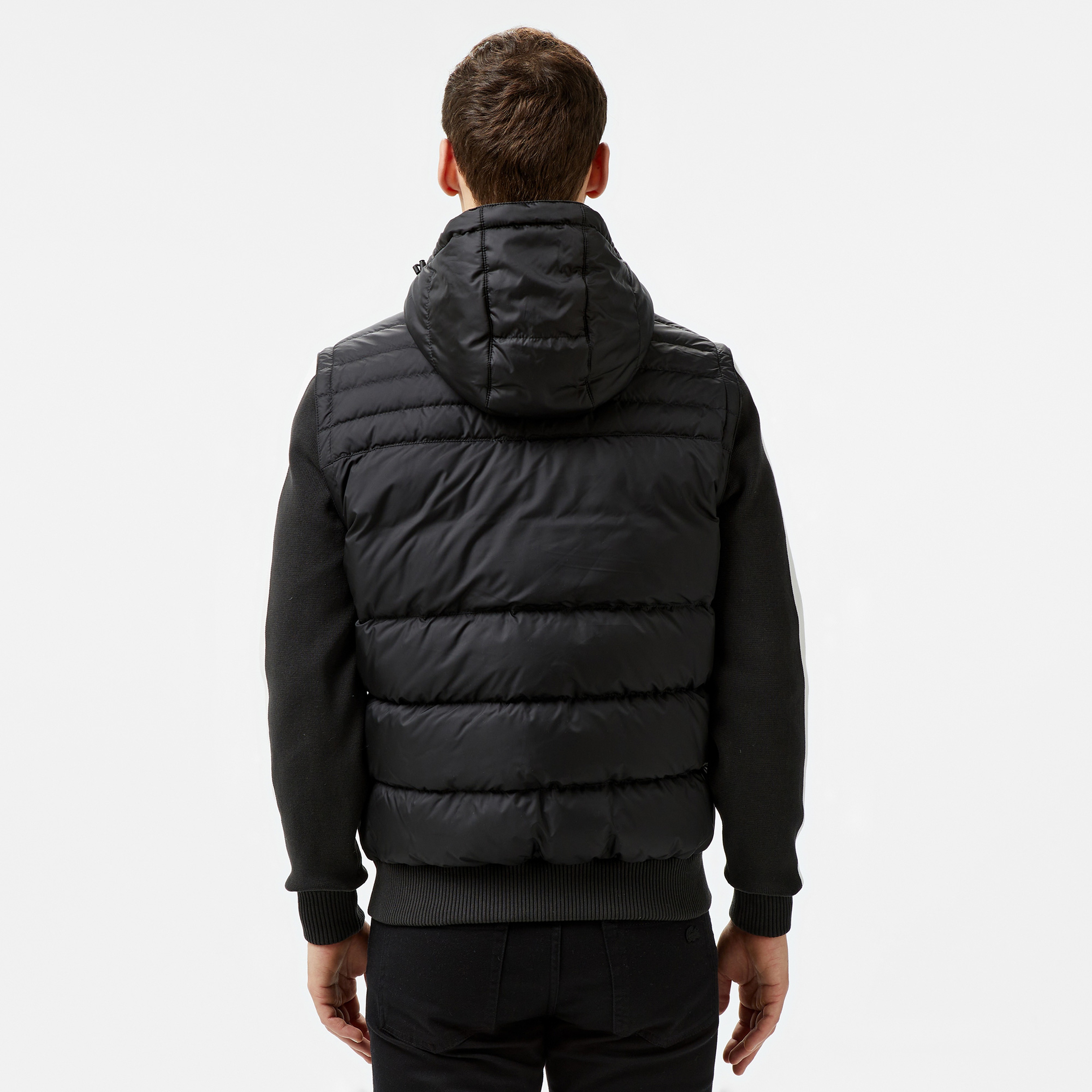 Lacoste Erkek Siyah Mont