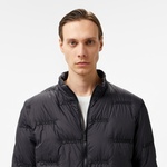 Erkek Dik Yaka Kapitone Siyah Mont