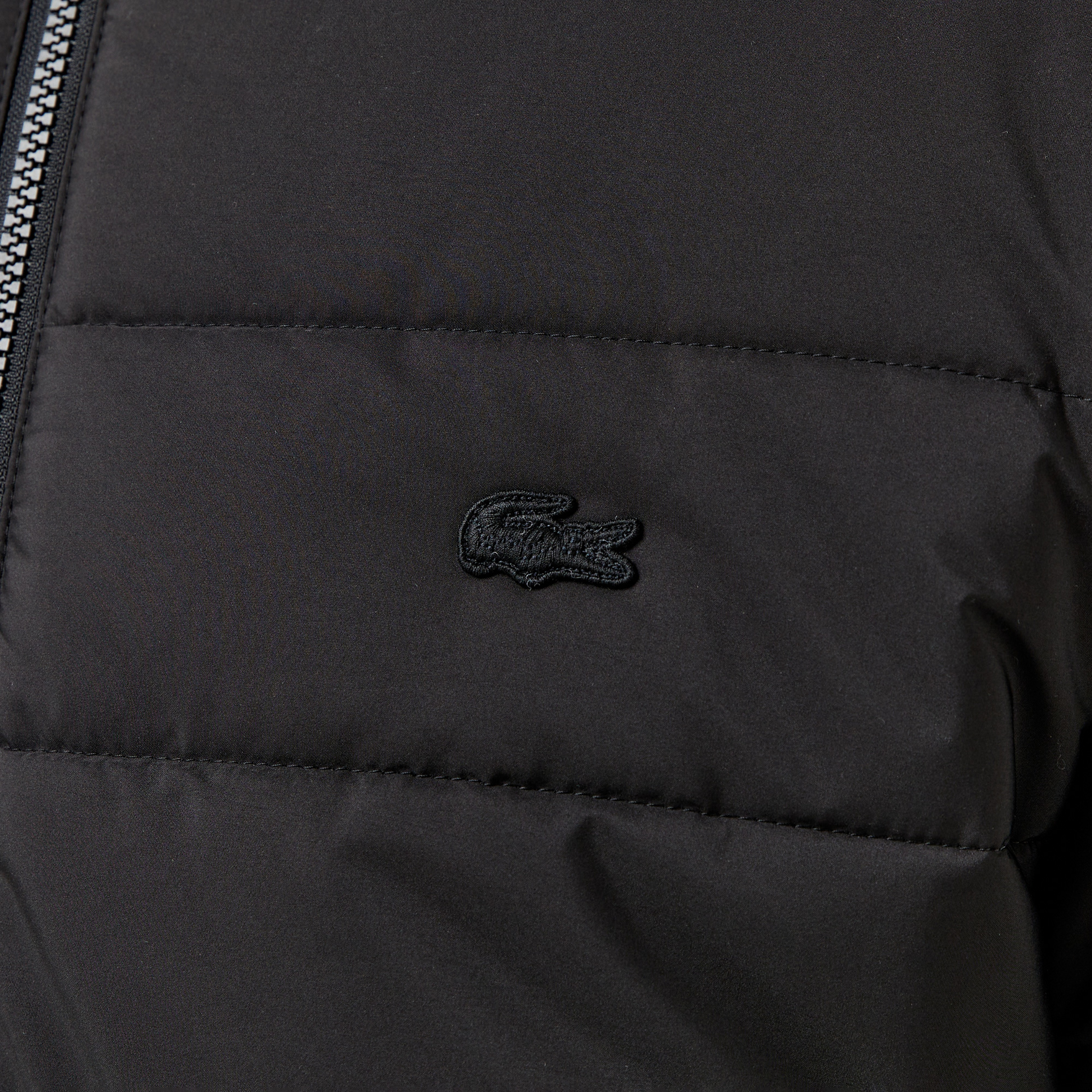 Erkek Regular Fit Dik Yaka Çift Taraflı Siyah Mont