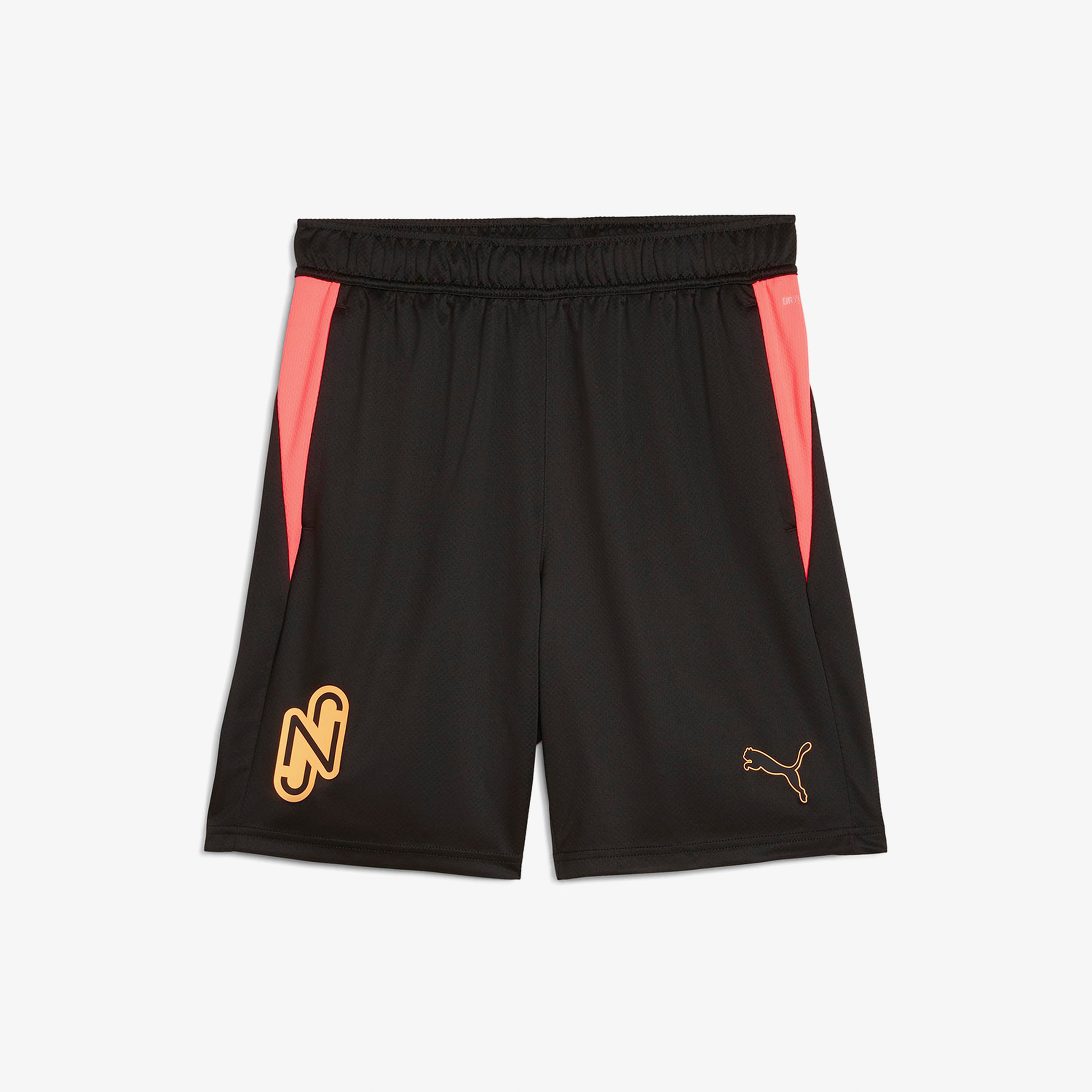Puma Erkek Siyah Şort