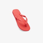 Havaianas Top Unisex Kırmızı Terlik
