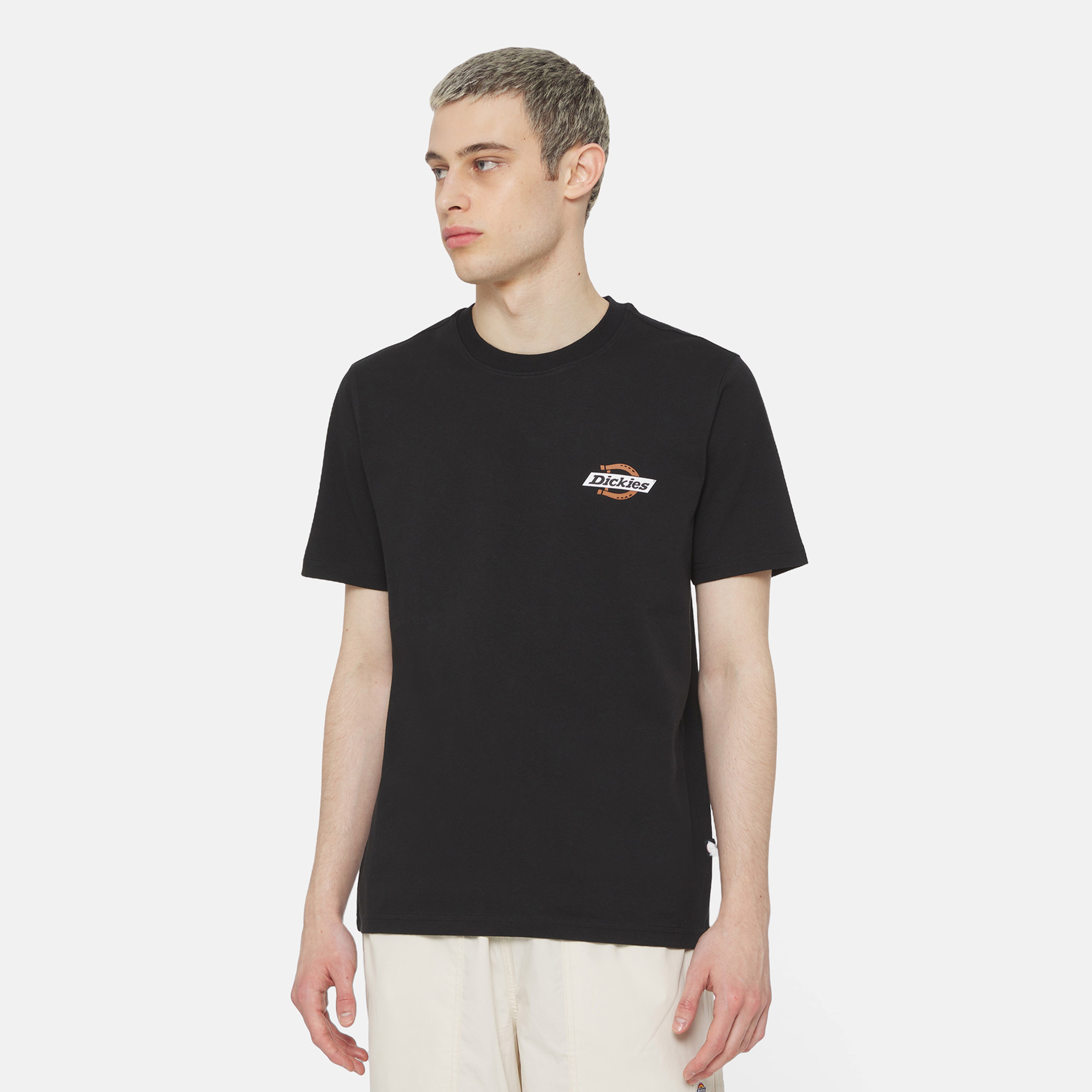 Dickies Ruston Erkek Siyah T-Shirt